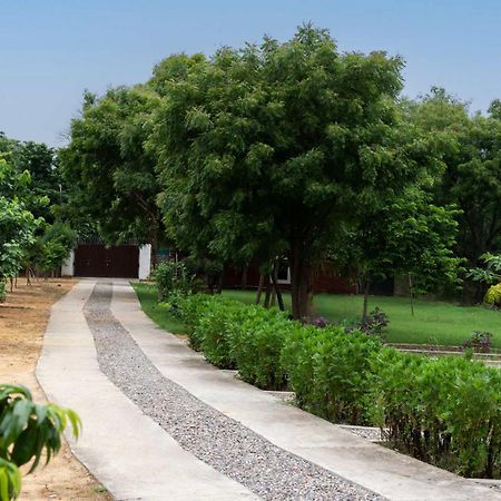Stayvista At Idyllic Farmhouse - A Glasshouse With Outdoor Pool Гургаон Экстерьер фото
